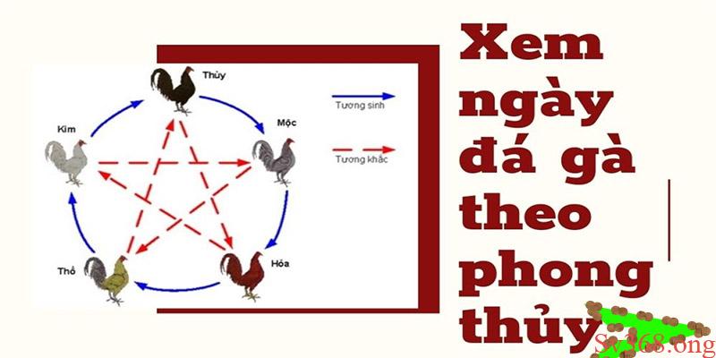 Chia Sẻ Cách Xem Ngày Đá Gà Mang Lại Chiến Thắng Cho Bạn 2 Xem ngày đá gà đang rất phổ biến
