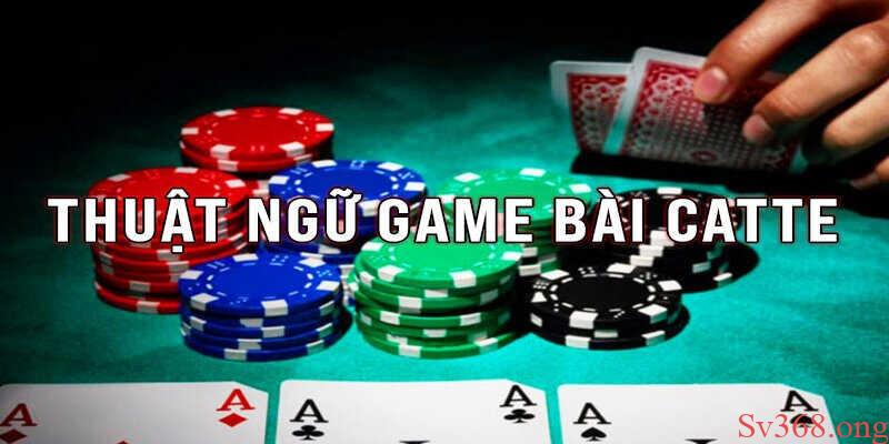 cách chơi game bài Catte cách chơi game bài Catte