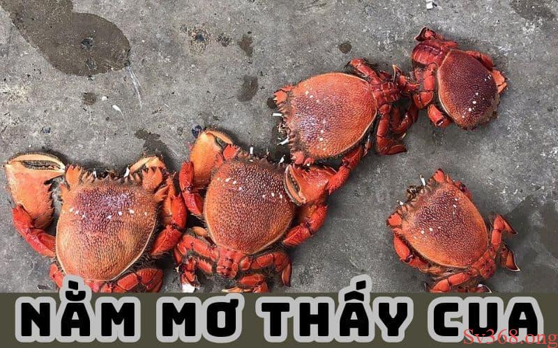 Mơ thấy cua