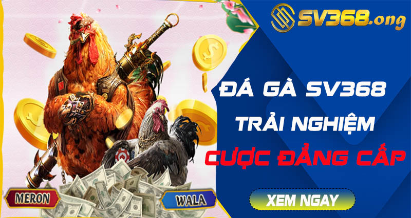 Đá gà sv368 - Trải nghiệm sảnh game thú vị hơn tất cả 1 đá gà sv368